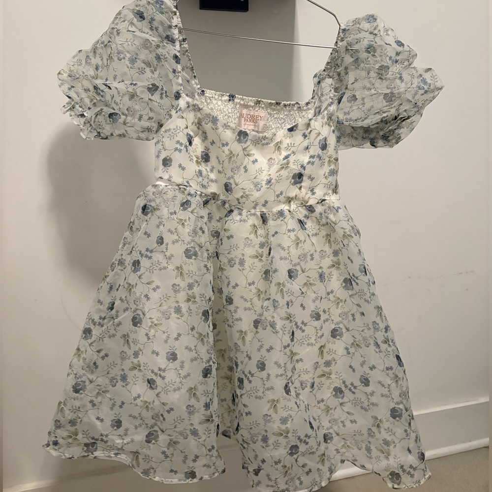 Francesca’s Floof Floral Dress